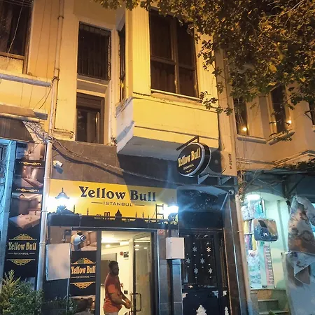 Yellow Bull Проживание в семье *