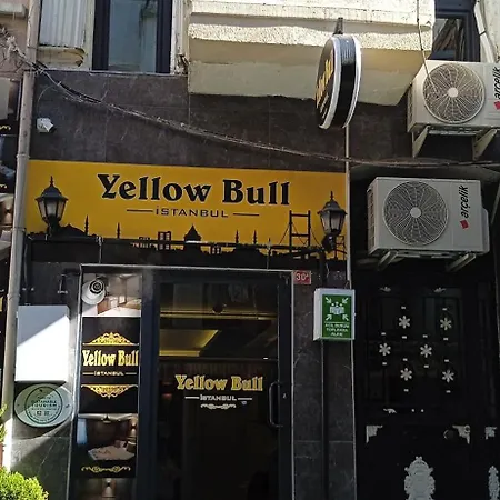 Yellow Bull Проживание в семье