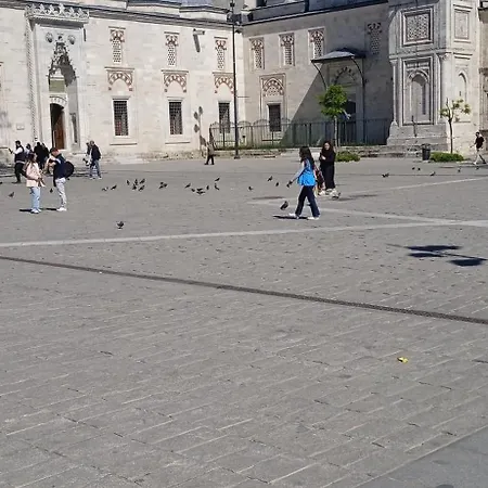 Accommodatie bij particulieren Yellow Bull