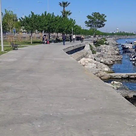 Yellow Bull Istanboel